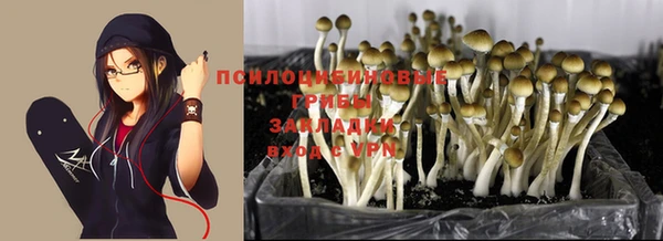 mdma Медвежьегорск