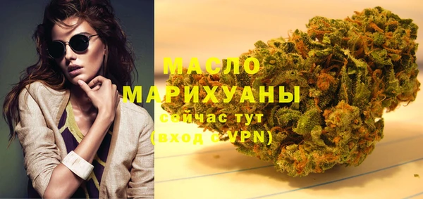 шишки Лабытнанги