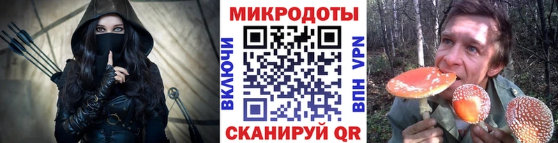 shop Telegram  Суздаль  Псилоцибиновые грибы Psilocybe 