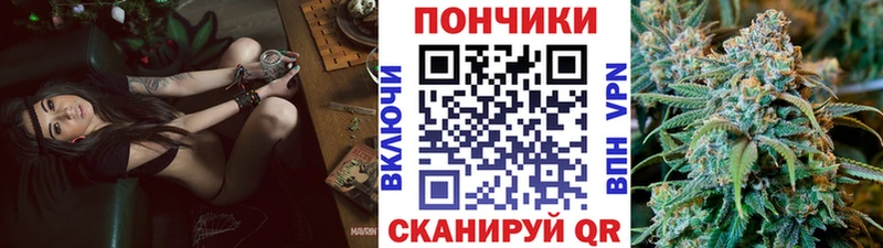 Бошки марихуана ГИДРОПОН Суздаль